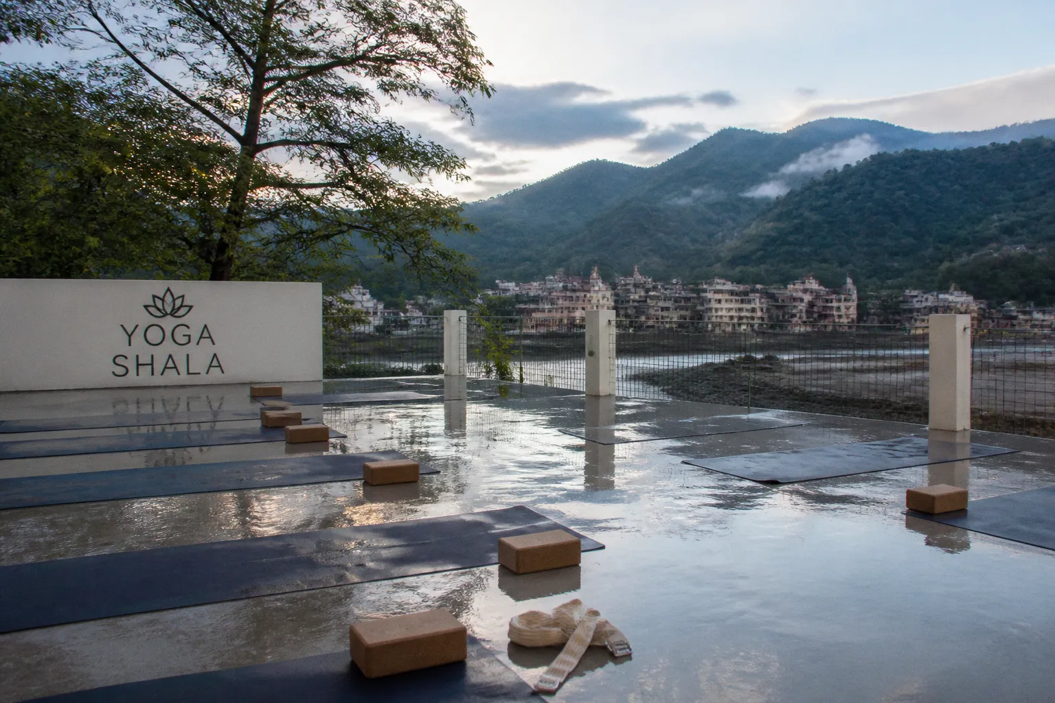 Devenir professeur de yoga : immersion entre les sommets de l'Himalaya et Bali