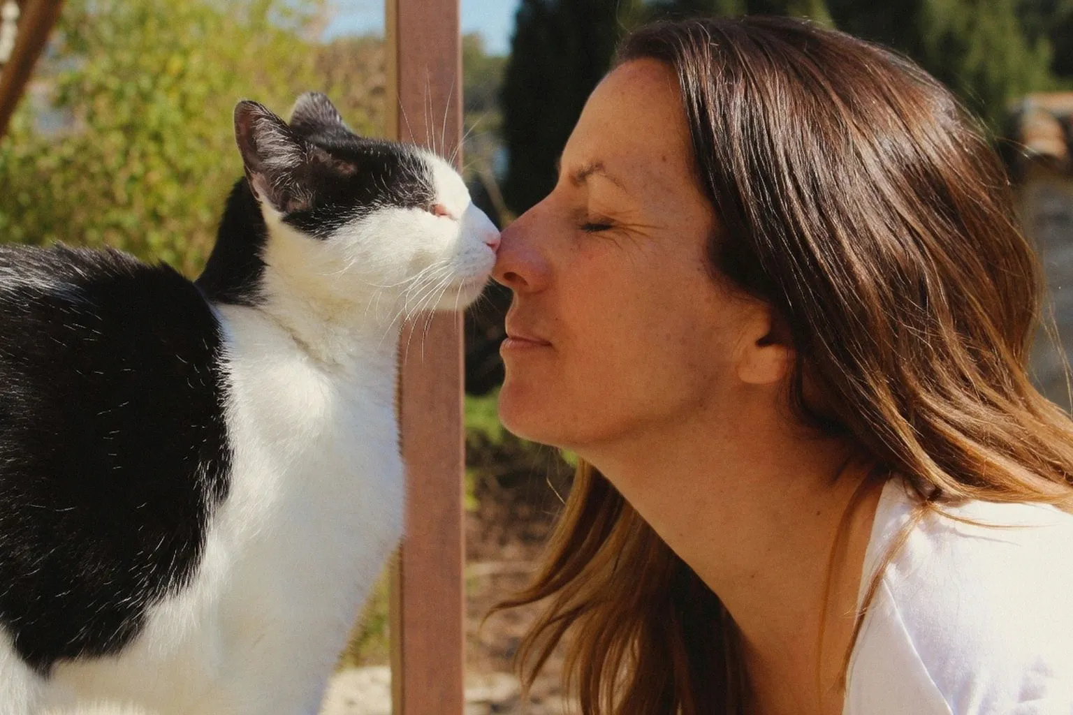 Naturopathie animale : pourquoi le rôle du praticien s'arrête là où commence le soin vétérinaire